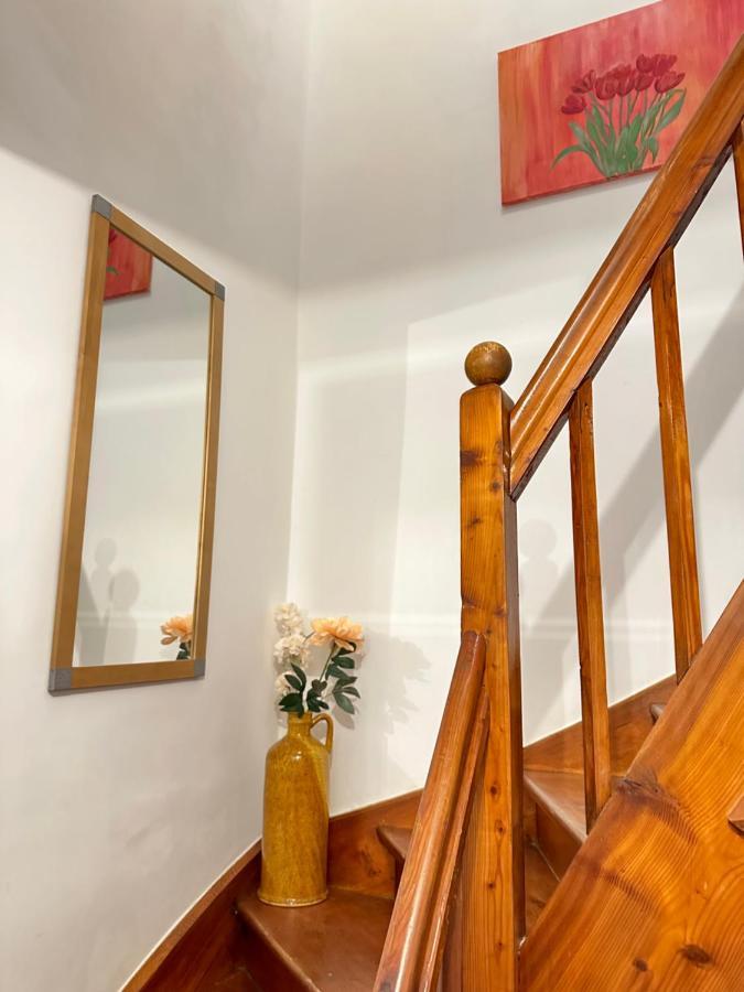 Green Paradise & Cozy Retreat Salzburg With Free Parking Экстерьер фото